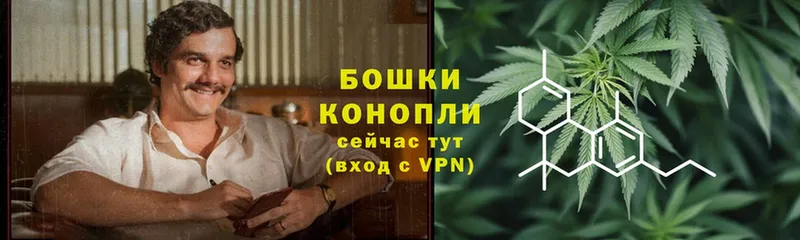 закладка  Дубна  Конопля Bruce Banner 